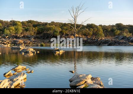 Schöner Baum mit Felsen auf dem Guadiana Fluss auf einem Sommertag in Alentejo an der Grenze zwischen Portugal und Spanien Stockfoto