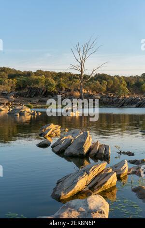 Schöner Baum mit Felsen auf dem Guadiana Fluss auf einem Sommertag in Alentejo an der Grenze zwischen Portugal und Spanien Stockfoto