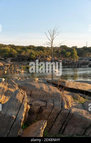 Schöner Baum mit Felsen auf dem Guadiana Fluss auf einem Sommertag in Alentejo an der Grenze zwischen Portugal und Spanien Stockfoto