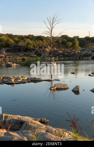 Schöner Baum mit Felsen auf dem Guadiana Fluss auf einem Sommertag in Alentejo an der Grenze zwischen Portugal und Spanien Stockfoto