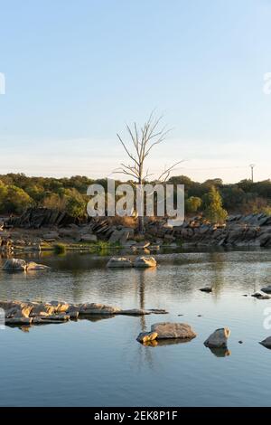 Schöner Baum mit Felsen auf dem Guadiana Fluss auf einem Sommertag in Alentejo an der Grenze zwischen Portugal und Spanien Stockfoto