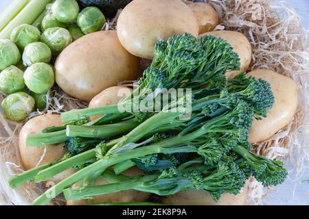 Eine Auswahl an frischem Gemüse aus dem Wintergarten und auf dem Tisch ausgelegt einschließlich Sprossen, Tenderstem Broccoli mit Kartoffeln unter dem brocco Stockfoto