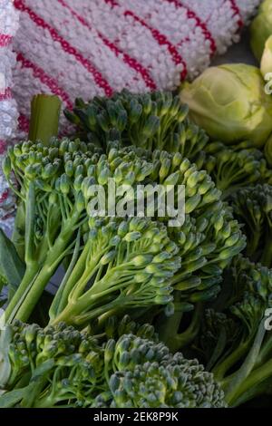 Eine Auswahl an frischem Gemüse aus dem Wintergarten und auf dem Tisch ausgelegt einschließlich Sprossen, Broccoli mit zarten Stielen. Stockfoto