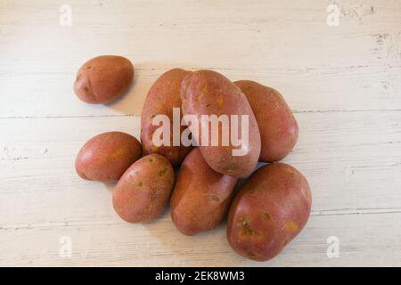 Gemüse aus dem Wintergarten mit frischen roten Kartoffeln auf Ein weiß lackiertes Brett Stockfoto