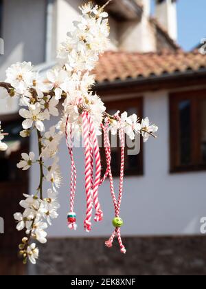 Rot-weiße Martenitsa oder Martison Armbänder, die an den Zweigen des blühenden Baumes hängen - bulgarische und rumänische Frühlingstradition Stockfoto