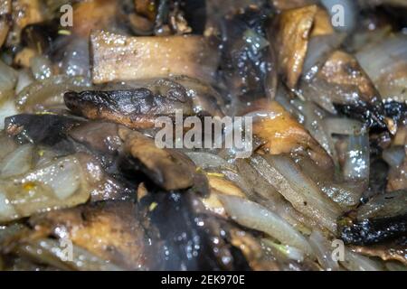 In einer Pfanne werden Wildpilze mit Zwiebeln gebraten. Herbsternte. Nahaufnahme, selektiver Fokus, Oberflächenstruktur. Stockfoto