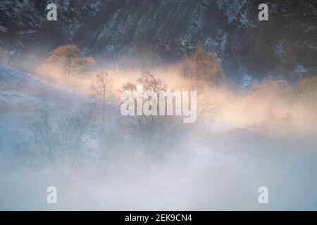 Majestätisches Sonnenlicht, das durch Winternebel und Bäume im Lake District Tal scheint. Stockfoto