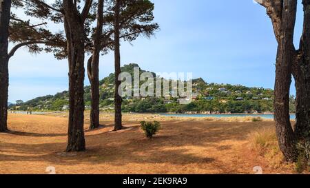 Blick auf den Mount Paku, Teil der Küstenstadt Tairua auf der Coromandel Halbinsel, Neuseeland, von einem Park in der Nachbarstadt Pauanui aus gesehen Stockfoto