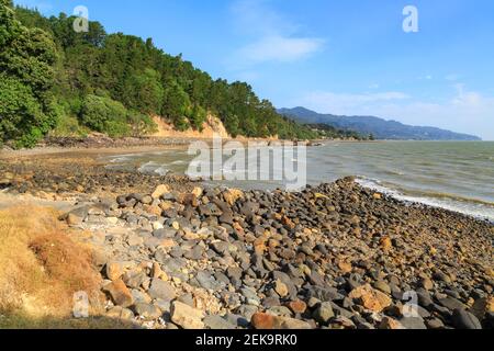 Die Küste der Coromandel Halbinsel, Neuseeland. Eine steinerne Bucht in der Nähe der kleinen Stadt Ruamahunga Stockfoto