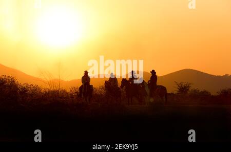 Die Silhouette von Reiter als Cowboy Outfit Kostüm mit einem Pferde und ein Gewehr in der Hand gegen Rauch gehalten Und Sonnenuntergang Hintergrund Stockfoto