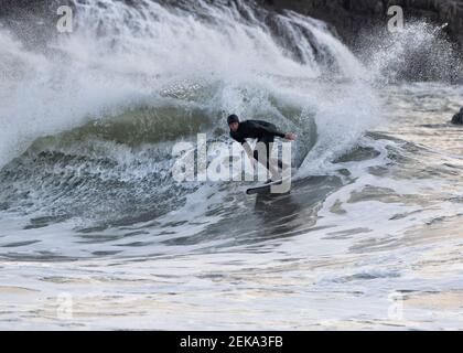 Surfer auf dem Meer bei Broad Haven South Beach, Wales, Großbritannien Stockfoto