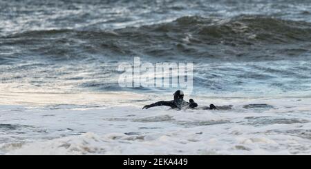 Mann, der während des Sonnenuntergangs in Broad HAVEN, Pembrokeshire, Großbritannien, im Meer schwimmt Stockfoto