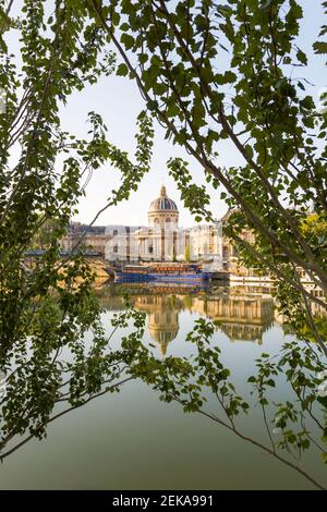 Frankreich, Ile-de-France, Paris, Institut de France Spiegelung in der seine mit Ästen im Vordergrund Stockfoto