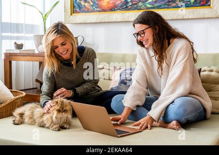 Lächelnde weibliche Patientin mit Laptop, während sie mit Therapeuten und sitzt Katze im Büro Stockfoto