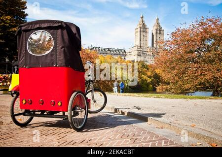 Pediküre in einem Park, Central Park, Manhattan, New York City, New York State, USA Stockfoto