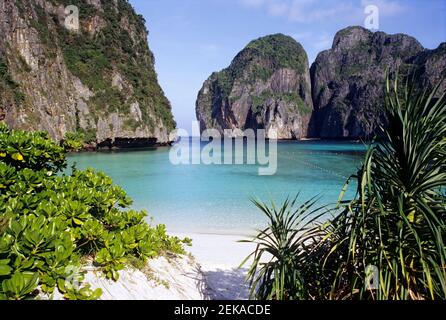 Thailand, Provinz Krabi, Ao Nang, Maya Bay im Sommer Stockfoto