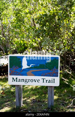Informationschild am Anfang des Mangrove Trail, John Pennekamp Coral Reef State Park, Key Largo, Florida Keys, Florida, USA Stockfoto