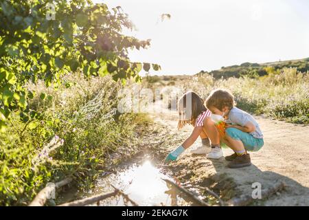 Bruder und Schwester, die die Hände halten, gehen auf der Wiese auf der Straße Stockfoto