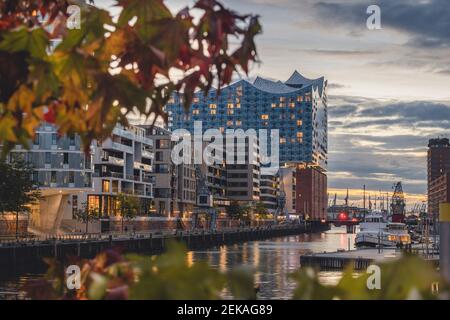 Deutschland, Hamburg, HafenCity mit Sandtorhafen und Elbphilharmonie im Herbst Stockfoto