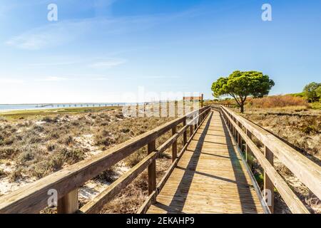 Holzbrücke über Sanddünen des Naturreservats Ria Formosa in Olhao, Algarve, Portugal Stockfoto