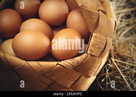 Frische braune Hühnereier im Korb und im Nest aus Heu in der Scheune. Stockfoto