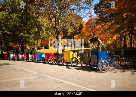 Pedicabs in einem Park, Central Park, Manhattan, New York City, New York State, USA Stockfoto