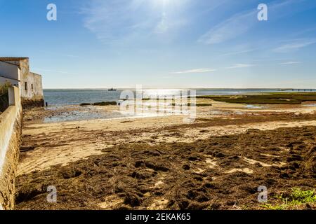 Gezeitenmühlengebäude im Naturpark Ria Formosa Quinta do Marim, Olhao, Algarve, Portugal Stockfoto