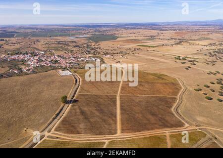 Rote und gelbe Weinberge Drohne Luftaufnahme von oben mit Dorf im Hintergrund im Sommer, in Alentejo Portugal Stockfoto