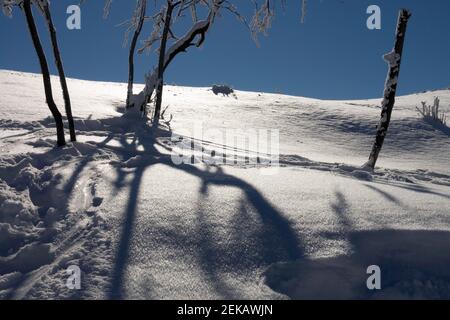 Schneeverwehung, abstrakte Schatten auf Schnee, Winterlandschaft Stockfoto