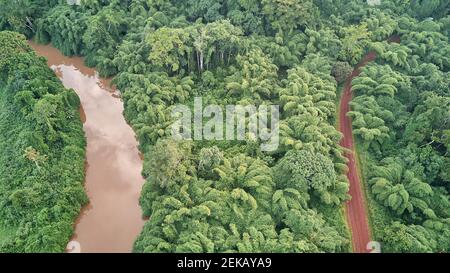 Kamerun, Luftbild des Flusses Sanaga und des Waldes Stockfoto