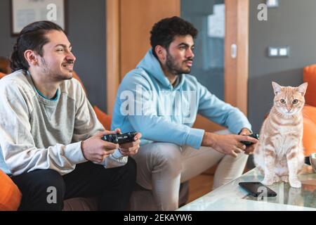 Junge männliche Freunde spielen Videospiel, während Katze sitzt auf Tisch zu Hause Stockfoto