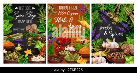 Kochen Gewürze, Gewürze und Kräuter Farm Shop Poster. Vector Bio-Knoblauch, Pfeffer und Basilikum, Sellerie und herzhafte Kräuter, Spinat und Rucola, Kräuter Stock Vektor