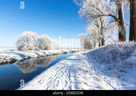 Deutschland, Brandenburg, verschneite Bäume spiegeln sich im Fluss Stockfoto