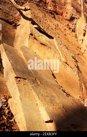 Vertikale felsige Bergseite in Virginia, USA Stockfoto