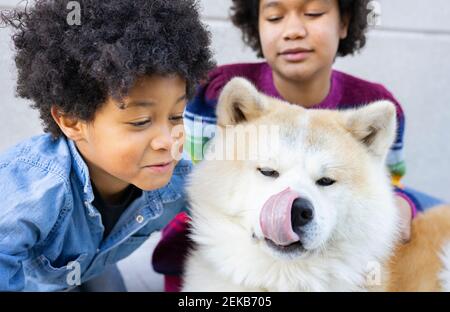 Junge Blick auf Hund, der aus der Zunge beim Sitzen mit Mädchen im Hintergrund gegen Wand Stockfoto