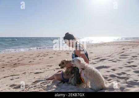 Frau spielt mit ihren Hunden am Strand Stockfoto