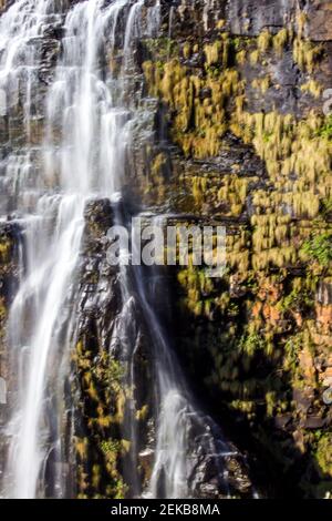 Nahaufnahme des Lissabon-Wasserfalls, Mpumalange, Südafrika, am späten Nachmittag Licht beleuchtet die einzelnen fallenden Wassertropfen Stockfoto