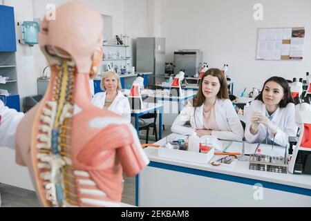 Ansicht der Schüler, die das Anatomiemodell im Science-Kurs analysieren Stockfoto