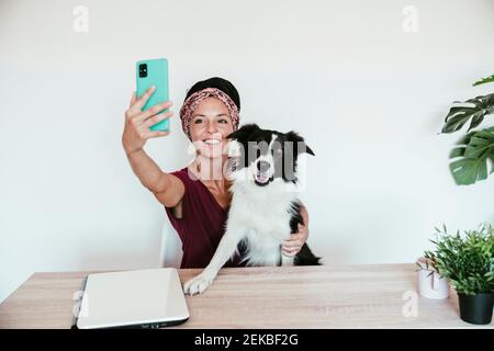 Weibliche Unternehmerin, die Selfie mit Border Collie nimmt, während sie dagegen sitzt Weiße Wand im Heimbüro Stockfoto