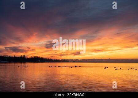 Lange Exposition des Bodensees bei bewölktem Sonnenaufgang Stockfoto