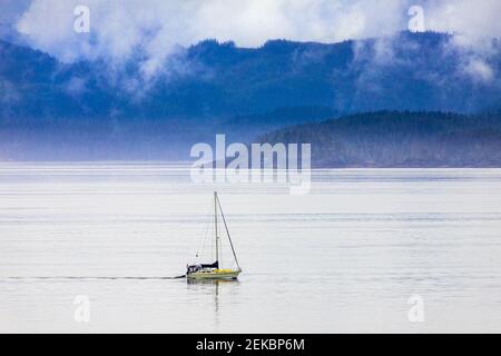 Eine Yacht, die in ruhiger Lage nahe Port Hardy an der Nordspitze von Vancouver Island, British Columbia, Kanada fährt - von einem Kreuzfahrtschiff aus gesehen. Stockfoto