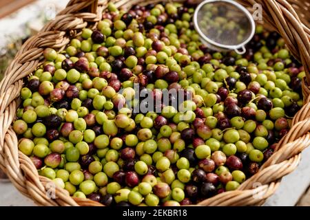 Frische Oliven mit Sieb im Korb Stockfoto