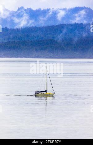 Eine Yacht, die in ruhiger Lage nahe Port Hardy an der Nordspitze von Vancouver Island, British Columbia, Kanada fährt - von einem Kreuzfahrtschiff aus gesehen. Stockfoto