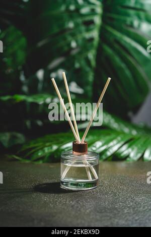 Aroma-Schilf-Diffusor, Raumduft-Flasche mit Rattan-Sticks und Duft von Frische auf dunklem Hintergrund mit grünen Palmblättern Stockfoto