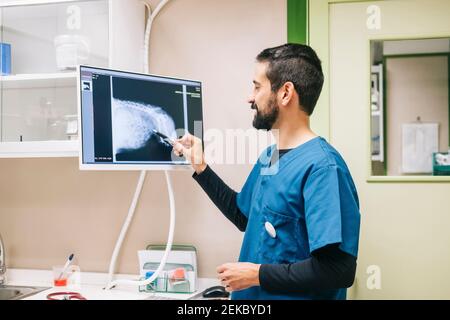 Bärtiger Tierarzt in Uniform Untersuchung Röntgen in der Tierklinik Stockfoto