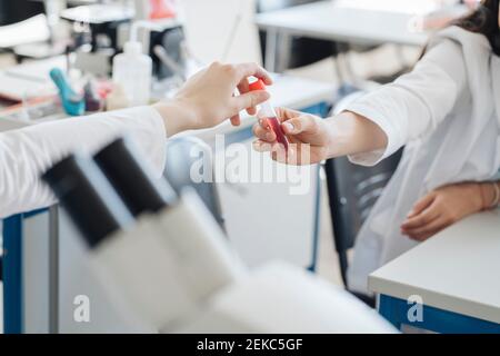 Crop-Ansicht der Forscher Übergabe Laborprobe Stockfoto