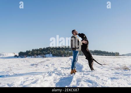 Verspielter Hund der Dogge lehnt sich an den Mann, während er im Stehen Schnee gegen klaren blauen Himmel Stockfoto