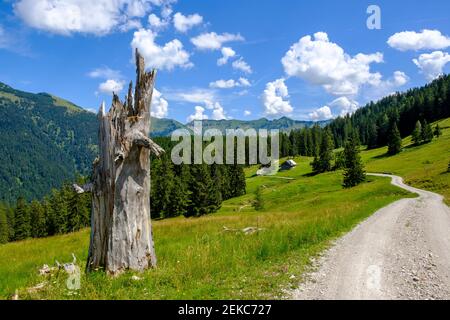 Bergweg in Richtung Oberbayern, Bayern, Deutschland Stockfoto
