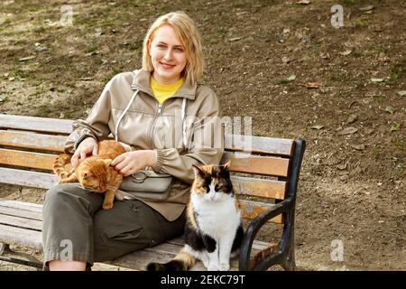 Streunende Istanbuler Katzen sitzen auf der Bank in der Nähe einer lächelnden jungen weißen Frau. Stockfoto