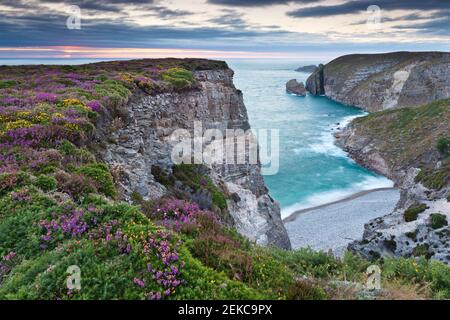 Canyon und Heathland an der Küste am Cap Frehel, Bretagne, Frankreich. Landschaft am Abend. Stockfoto